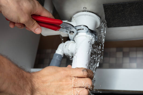 Best Water damage cleanup near me  in Embreeville, TN