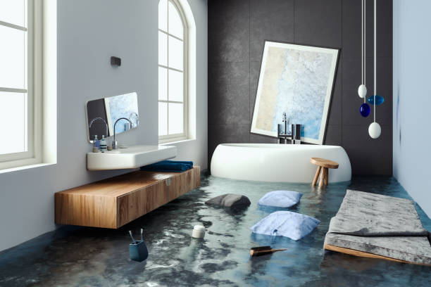 Best Basement water damage restoration  in Embreeville, TN