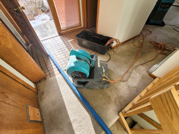 Best Water damage cleanup near me  in Embreeville, TN