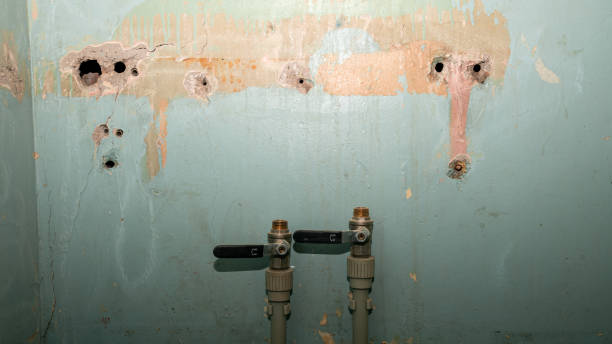  Embreeville, TN Water damage restoration Pros