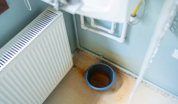 Best Water damage mitigation services  in Embreeville, TN