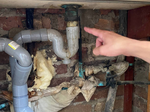 Best Carpet water damage restoration  in Embreeville, TN